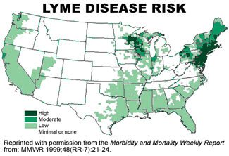 illustration: Morbidity and Mortality Weekly Report